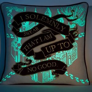 Pottery Barn Harry Potter Pillow ✨